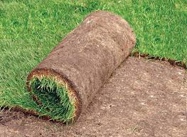 Photo of sod turf