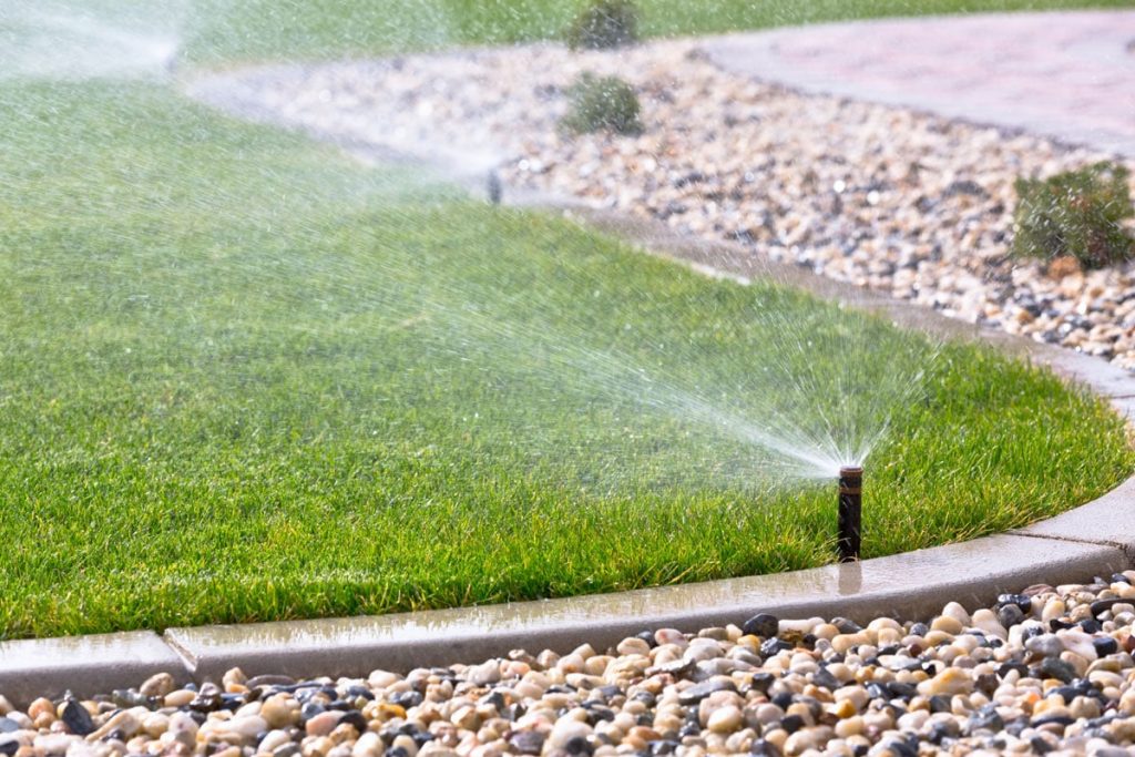 Photo of grass sprinkler