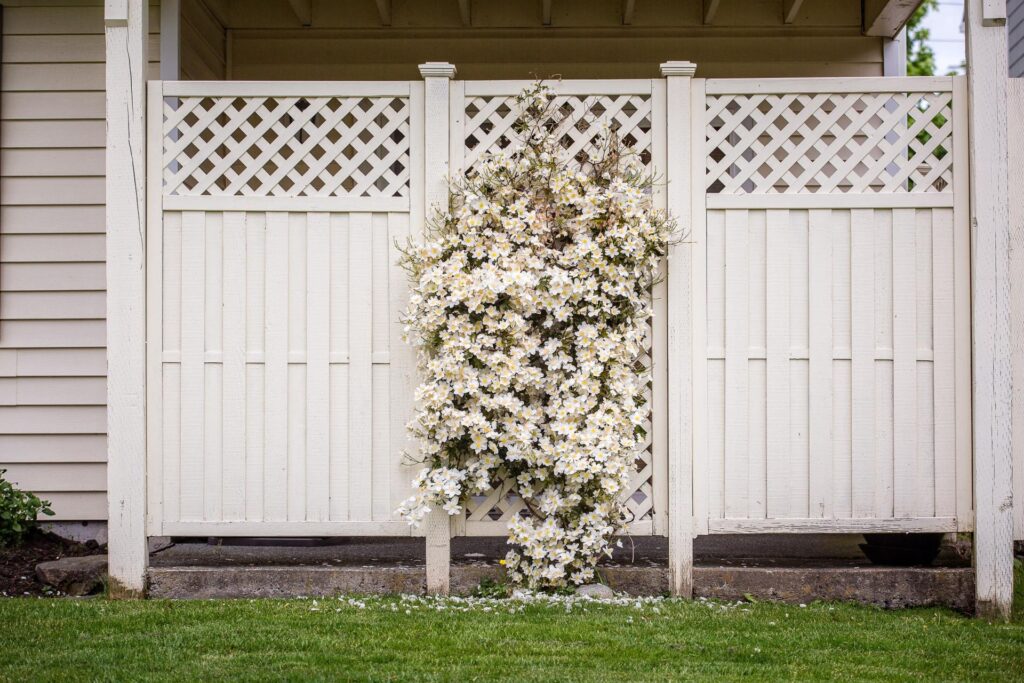 Wooden fence