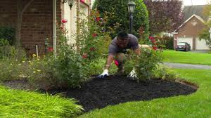 Mulch Saskatoon