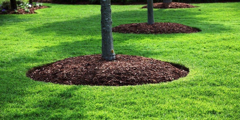 Landscaping Saskatoon