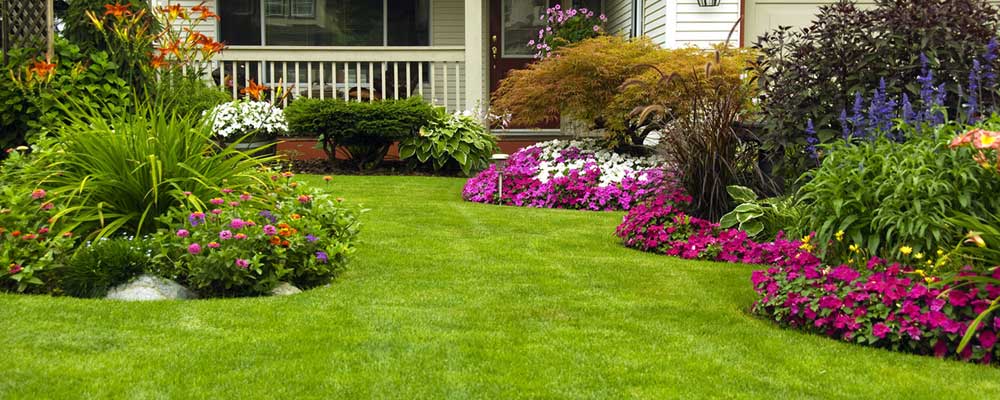 Landscaping Saskatoon