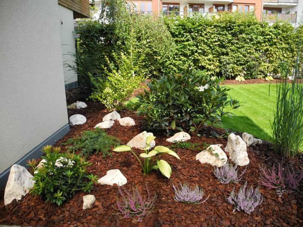 Mulch Saskatoon