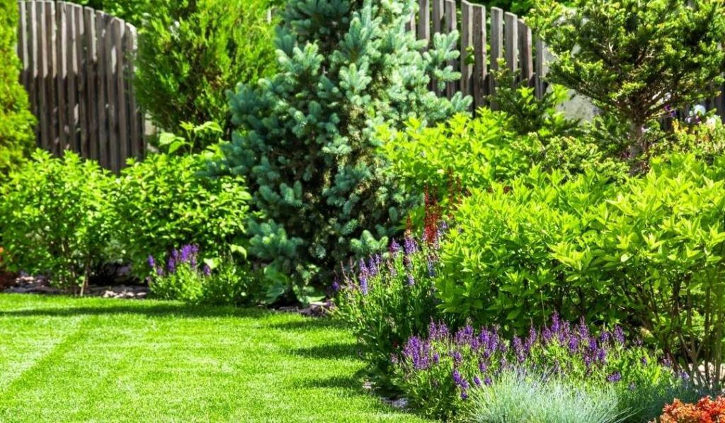 Best Landscaping Company Saskatoon