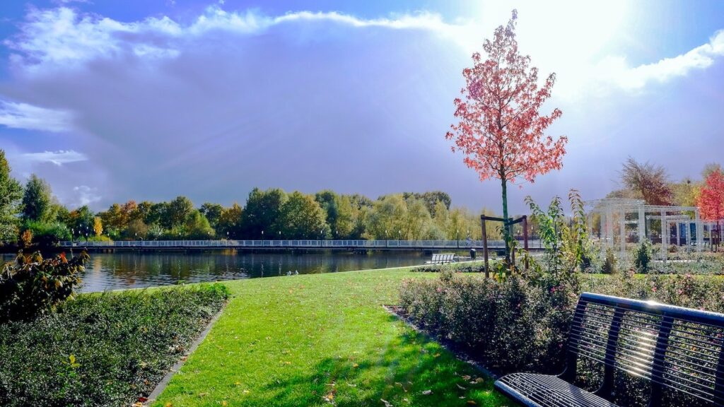 Landscaping Saskatoon
