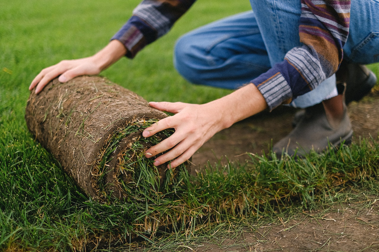 Benefits of Sod Lawns for Gardeners - PLCPlus