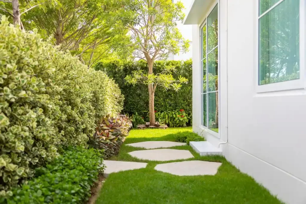 Difference Between Hardscape and Softscape Construction