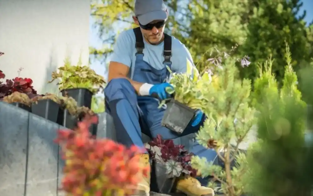Planting services