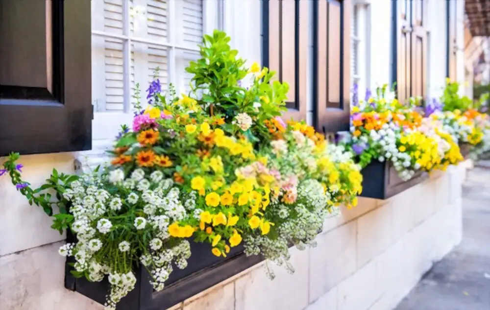 Garden boxes for decoration