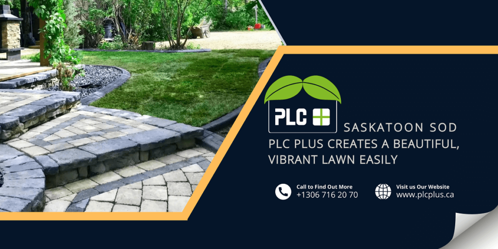 Saskatoon Sod