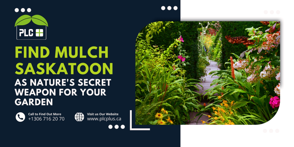 mulch Saskatoon